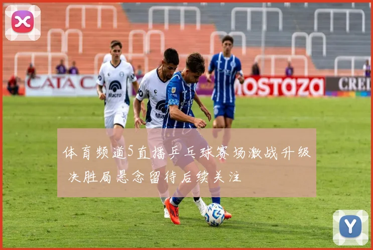 体育频道5直播乒乓球赛场激战升级 决胜局悬念留待后续关注