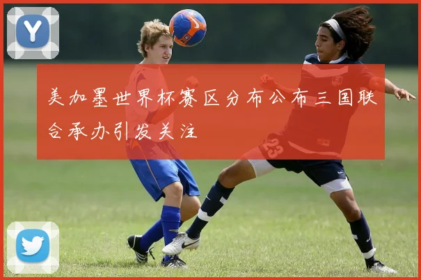 美加墨世界杯赛区分布公布三国联合承办引发关注