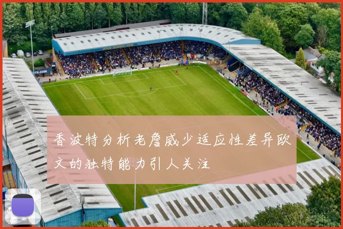 香波特分析老詹威少适应性差异欧文的独特能力引人关注