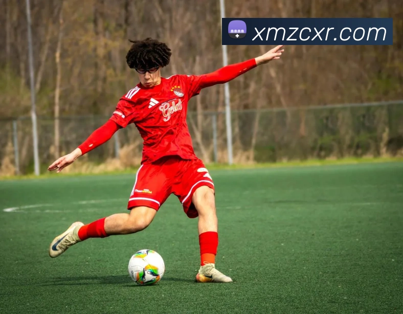 App Interface Preview